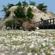 Illustration for article titled Abandoned chemical weapons plant is overrun with fluffy bunnies